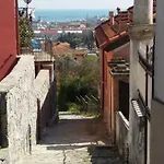 Il Golfo E I Limoni