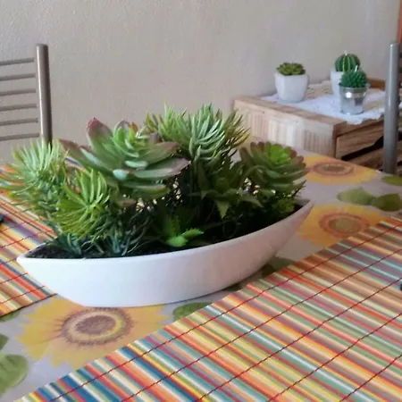 公寓 Il Golfo E I Limoni *