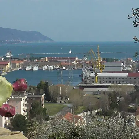 Il Golfo E I Limoni